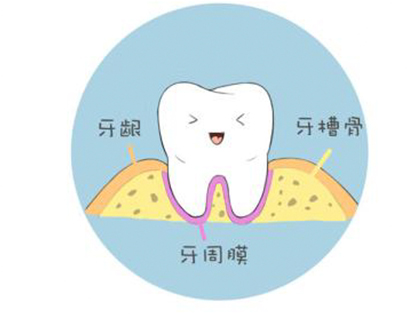 <b>牙周病有什么症状？</b>